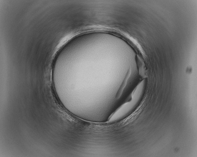 X0000096191365200802151454