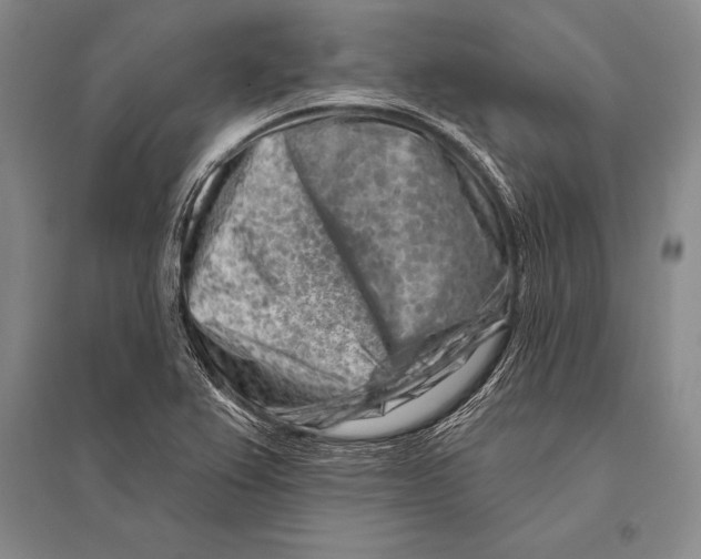 X0000096191367200802151454