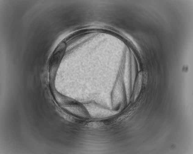 X0000096191368200802151454