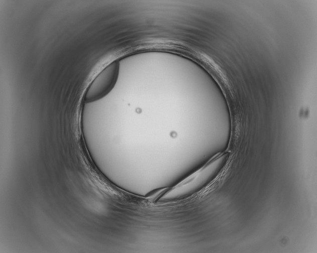 X0000096191370200802151454