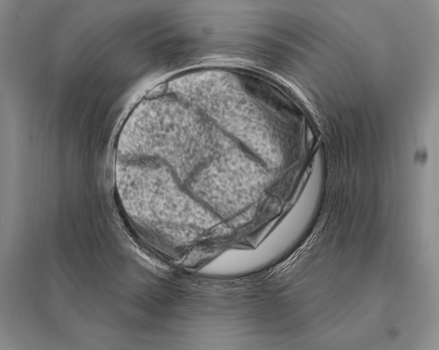 X0000096191371200802151454