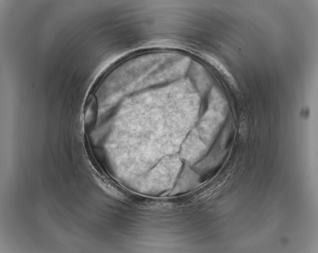 X0000096191372200802151454