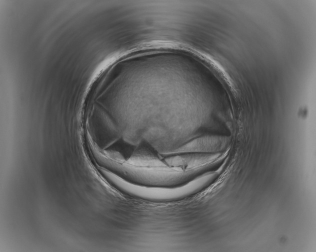 X0000096191373200802151454