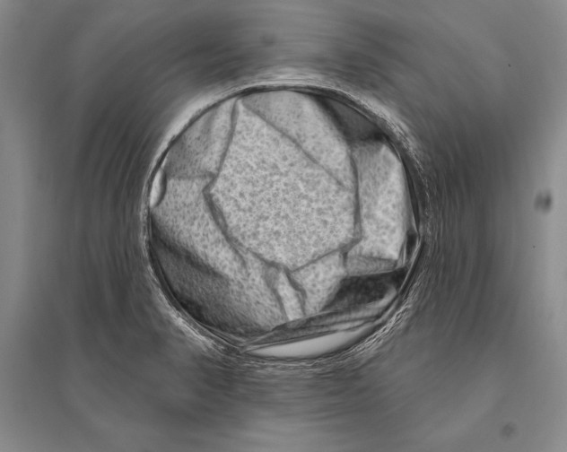 X0000096191374200802151454