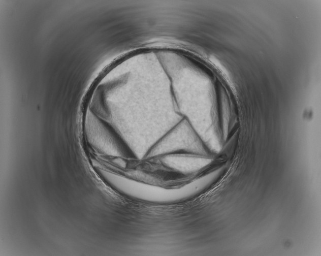 X0000096191376200802151454