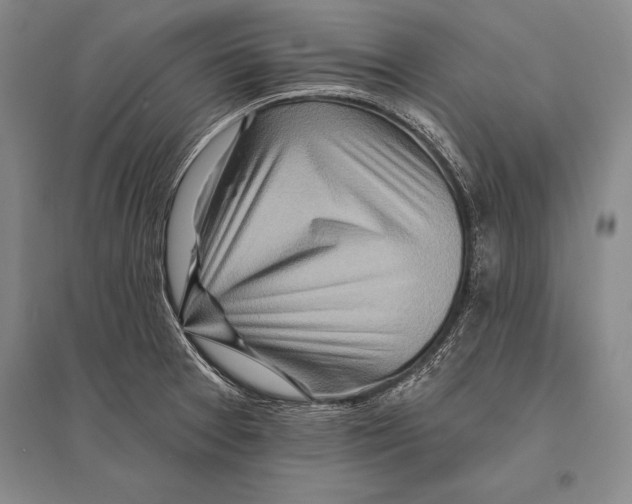 X0000096191377200802151454