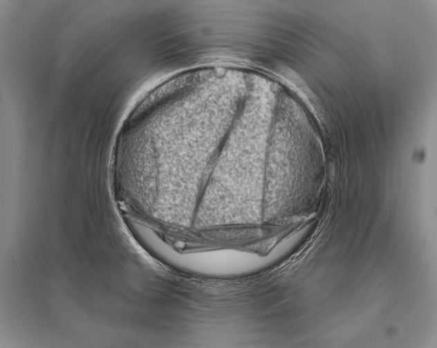 X0000096191379200802151454