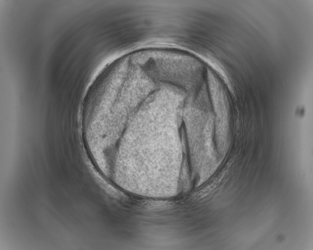 X0000096191382200802151454