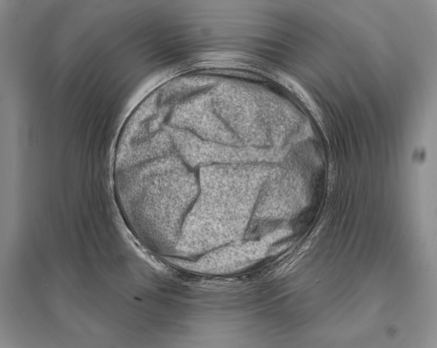 X0000096191386200802151454