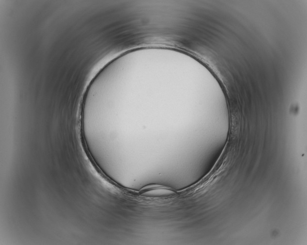 X0000096191387200802151454