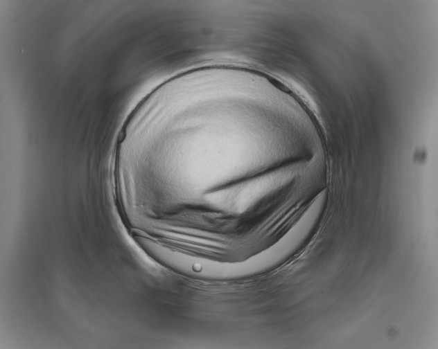 X0000096191391200802151453