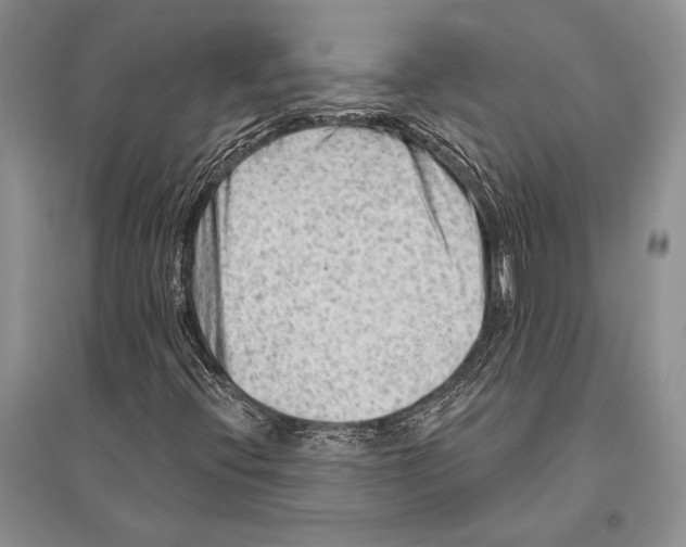 X0000096191396200802151453