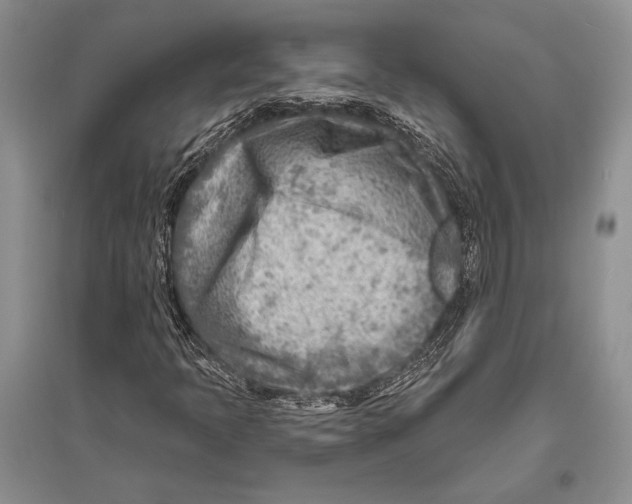 X0000096191397200802151453