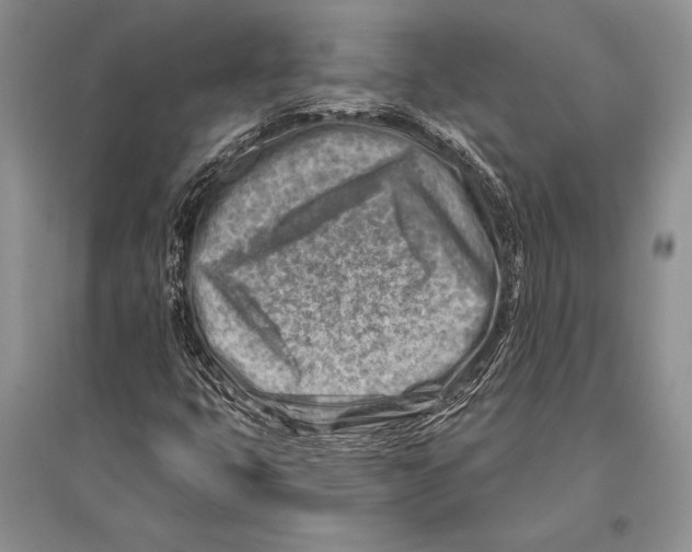 X0000096191399200802151453