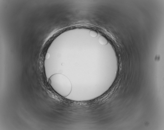 X0000096191400200802151453