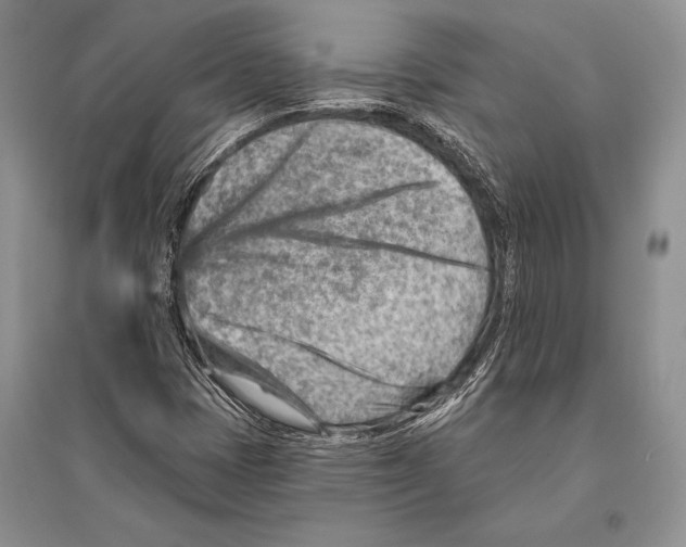 X0000096191401200802151453