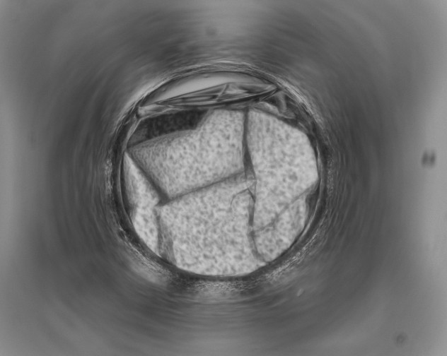 X0000096191402200802151453