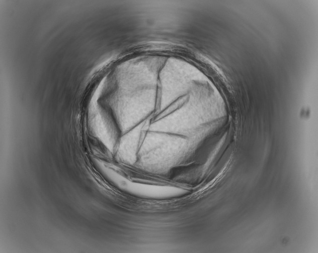 X0000096191403200802151453