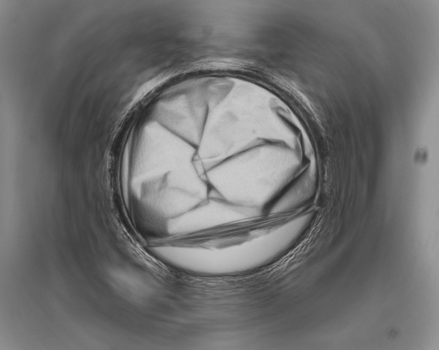 X0000096191404200802151453