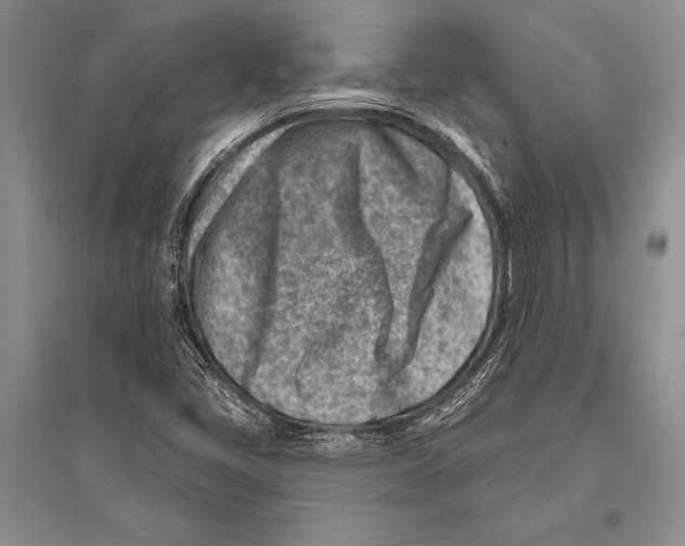 X0000096191405200802151453