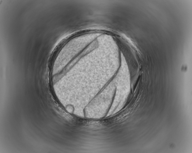 X0000096191408200802151453