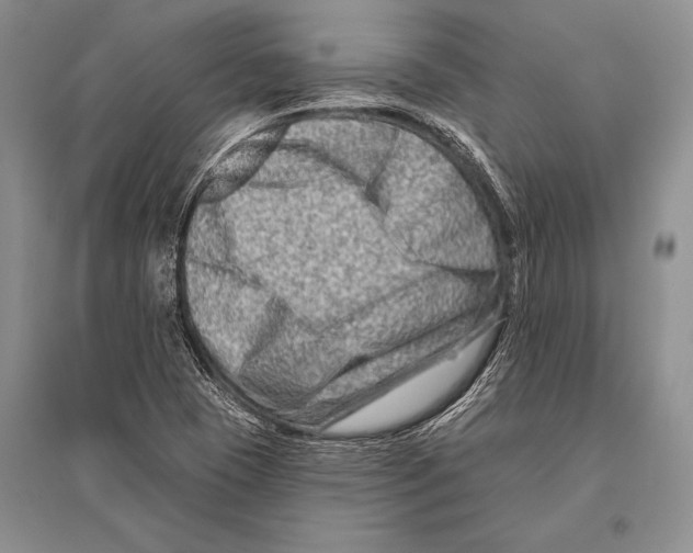 X0000096191409200802151453