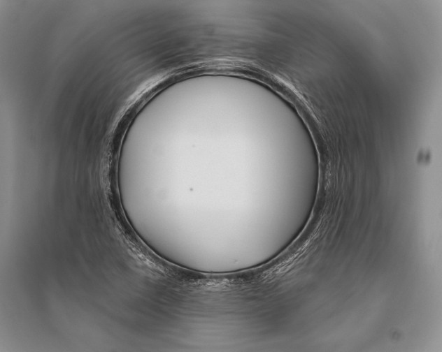 X0000096191410200802151453