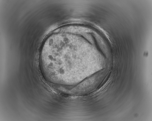 X0000096191411200802151453