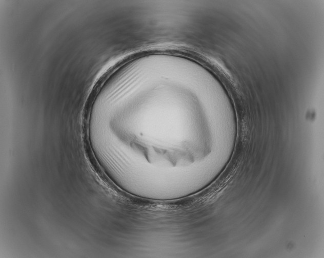 X0000096191412200802151453