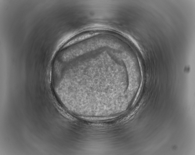 X0000096191413200802151453