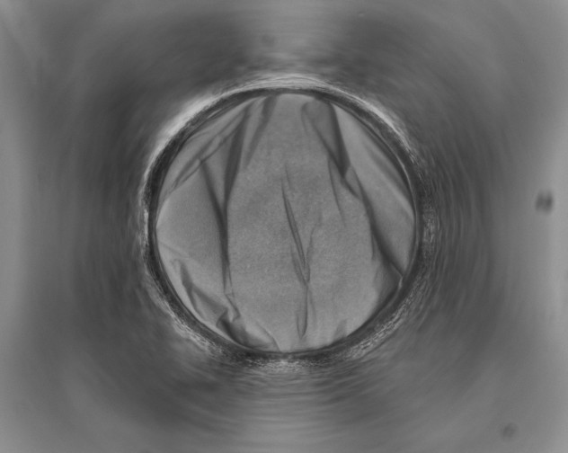 X0000096191414200802151453