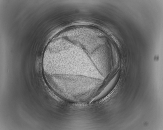 X0000096191417200802151453