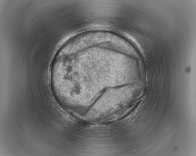 X0000096191419200802151453