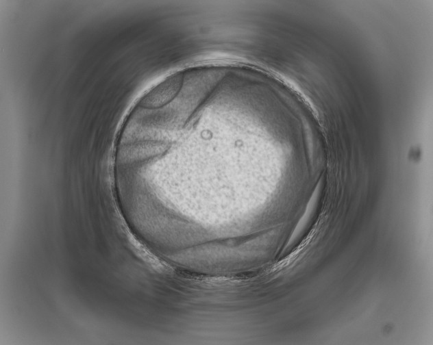 X0000096191421200802151453