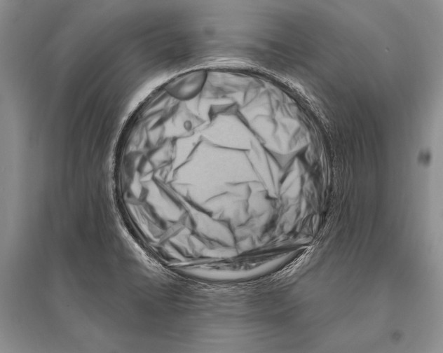 X0000096191422200802151453