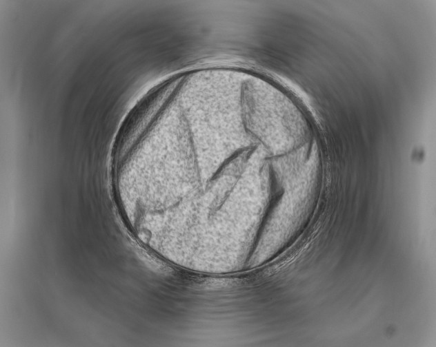 X0000096191423200802151453