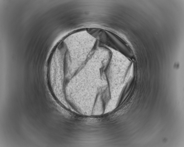 X0000096191424200802151453