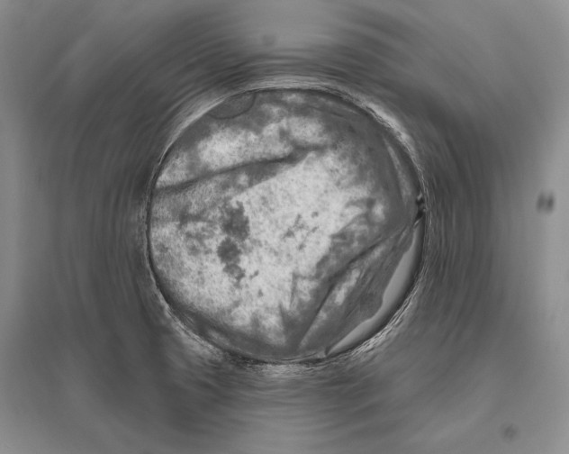 X0000096191425200802151453