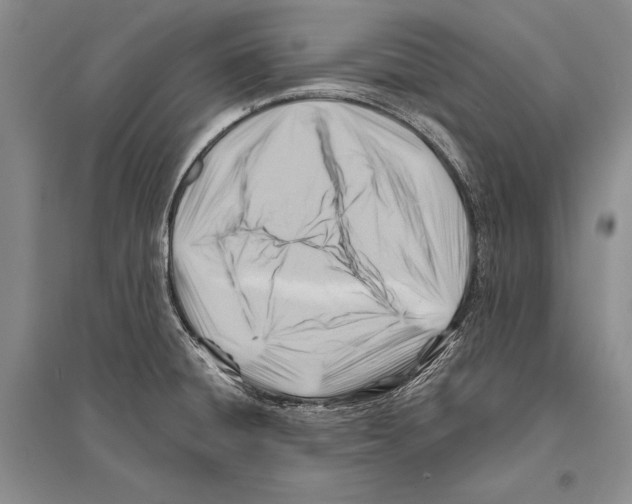 X0000096191428200802151453