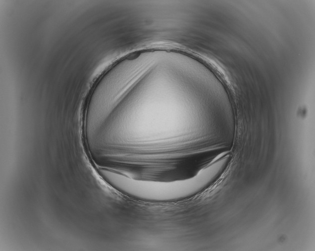 X0000096191430200802151453