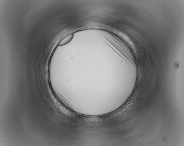 X0000096191431200802151453