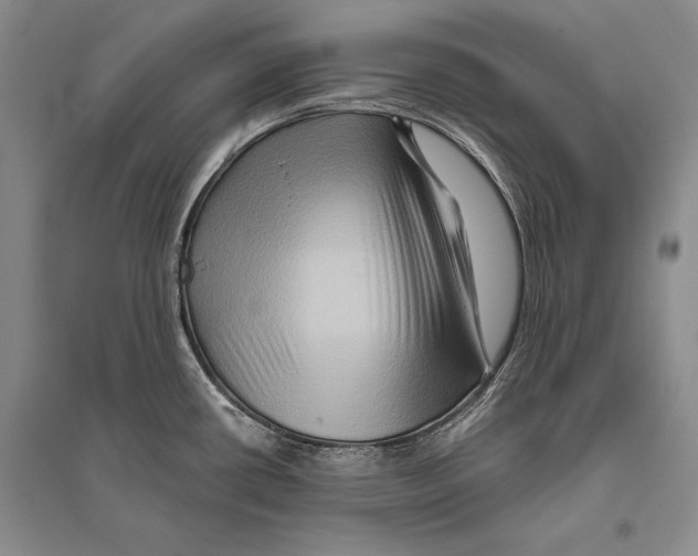 X0000096191434200802151453