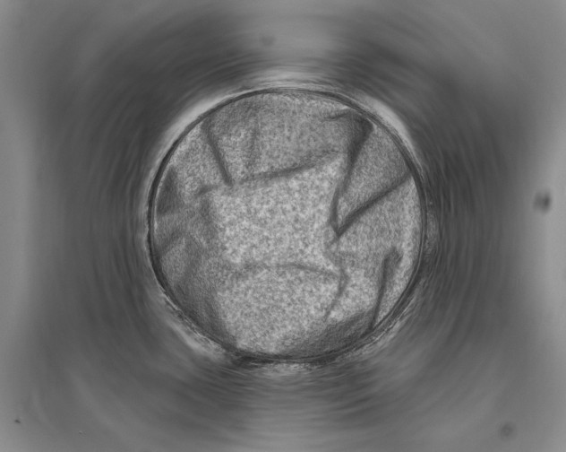 X0000096191435200802151453