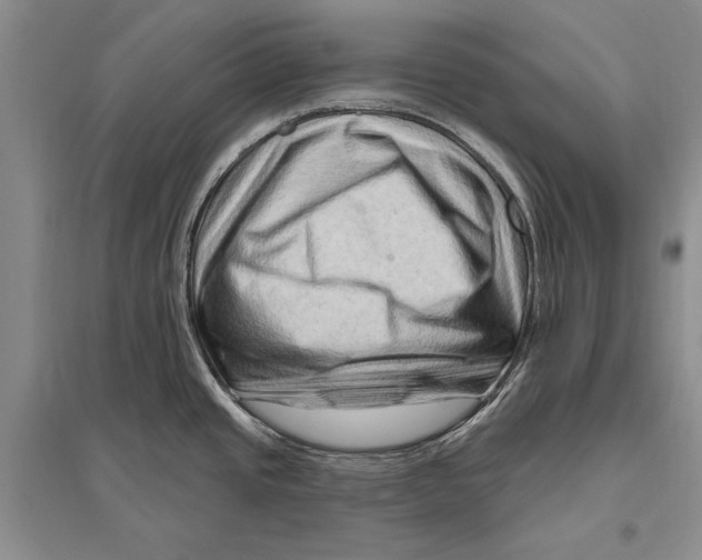 X0000096191437200802151453