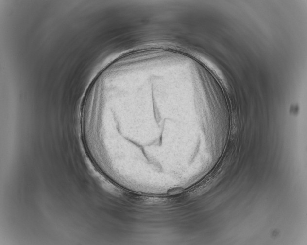 X0000096191439200802151453