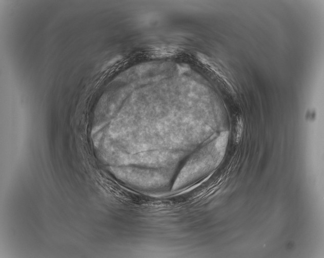 X0000096191441200802151453