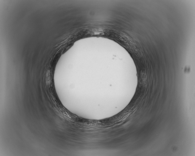 X0000096191442200802151453