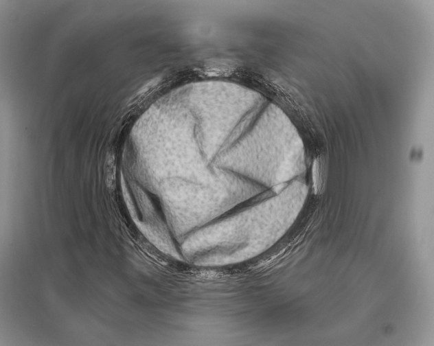 X0000096191443200802151453