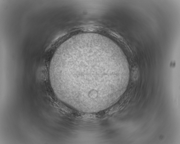 X0000096191446200802151453