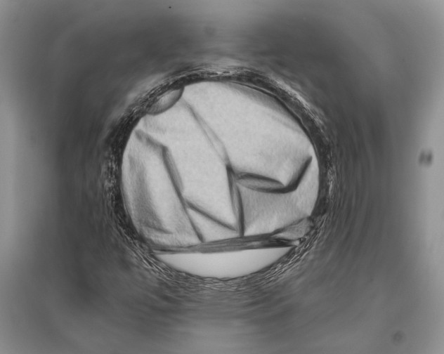 X0000096191447200802151453